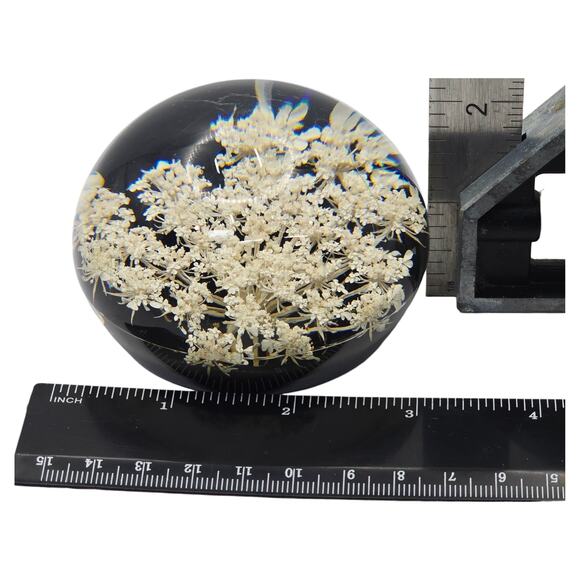 Tarax Infinity Vintage Lucite Acrylic Paperweight Queen Anne’s Lace Canada - Picture 6 of 7